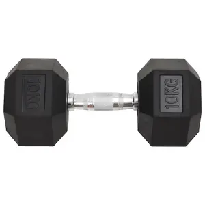 Dumbbells set Fitness Gym Essential 2 pcs 20 kg Cast Iron