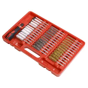 Sealey 38pc Cleaning Brush Set Injector Bore VS1910