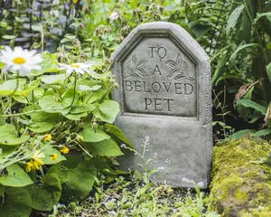 To A Beloved Pet' Stone Cast Tombstone Memorial