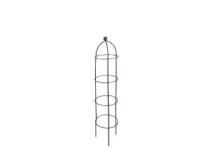 Growing Obelisks Coated in Black - Small - Single