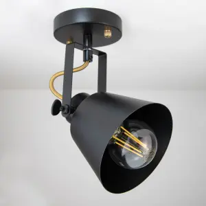 Abigail Matt Black Single Spotlight with Gold Fittings - E27