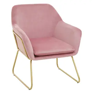 Interiors by Premier Functional Pink Velvet Bushed Gold ArmChair, Cozy Desk Chair Pink Velvet, Easy to Clean Pink Velvet Chair