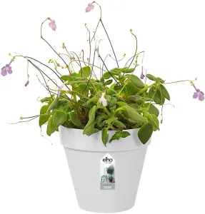 Elho Loft Urban Green Wall Single 15cm Plastic Plant Pot in White