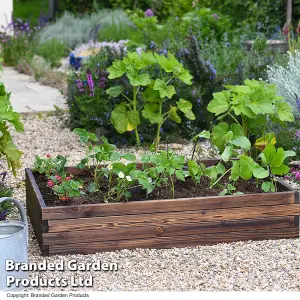 Wooden Raised Garden Planter Treated Fir Wood Outdoor Flower Trough Herb Vegetable Bed (Large 110x90cm)