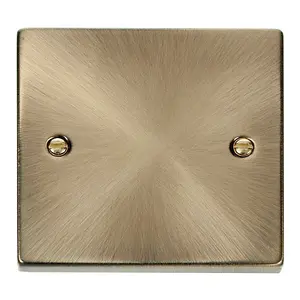 Antique Brass 1 Gang Blank Plate - SE Home