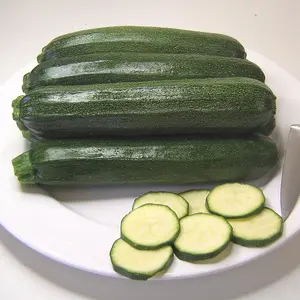 Courgette Defender F1 Hybrid 1 Seed Packet (12 Seeds)