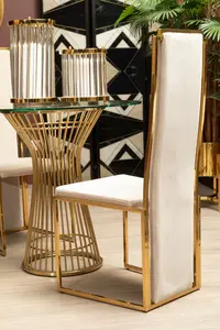 Interiors by Premier Luxurious Modern Dining Chair, Stainless Steel Gold Finished Frame Accent Chair. Natural Fabric Dining Chair