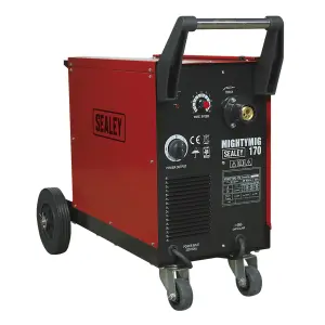 Professional Gas/Gasless MIG Welder with Euro Torch 170A