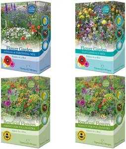 Scatter Seed Box Collection - 4 Packs