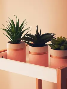 Fiori Set of 3 Pink Pot Succulents Artificial Plant Foliage