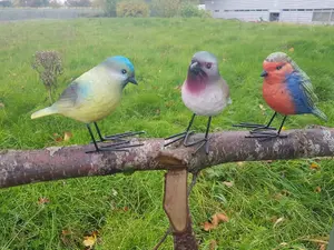 Set of 3 Small Bird Figurines for the Garden - Colourful Wildlife Garden Decorative Ornaments