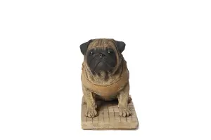 Pair of Full Size Sitting Pugs Stone Statues