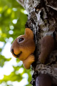 Squirrel Tree Peeker Garden Ornament