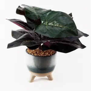 35cm Artificial Ficus Plant with Teal Blue Green Ceramic Planter