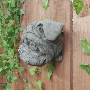 Adorable Bulldog Head Stone Wall Plaque