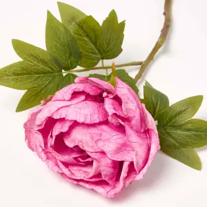 Homescapes Artificial Stem of Dried Pink Peony Flowers, 48 cm