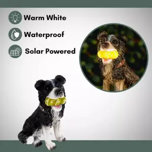 Solar Dog Garden Ornament LED Light Up Tennis Balls Puppy Statue Decor Lighting