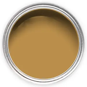 Annie Sloan Satin Paint 750ml Carnaby Yellow