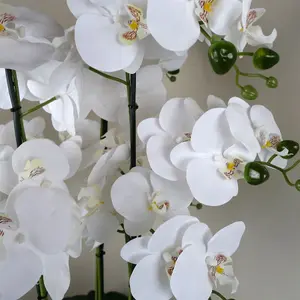 50cm Artificial Orchid with Glass Planter - White