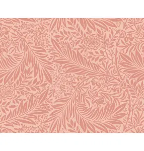 Origin Murals Trailing Ferns - Warm Coral Matt Smooth Paste the Wall Mural 350cm wide x 280cm high