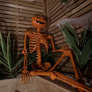 5ft (150cm)  Posable Halloween Pumpkin Skeleton Decoration