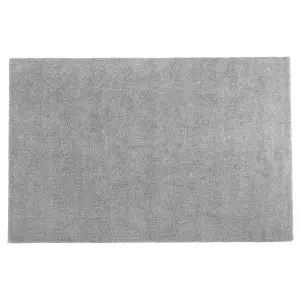 Shaggy Area Rug 200 x 300 cm Light Grey DEMRE