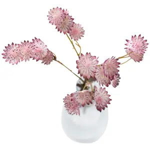 Bloom Artificial Single Pink Astrantia Flower Stem - Faux Fake Silk Flower Indoor Home Decoration Floral Arrangements - L60cm