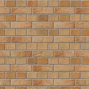 Ibstock Grainger Gold Brick 65mm Mini Pack 250