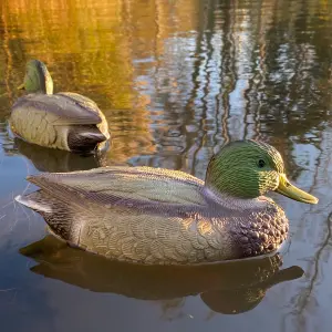 Mallard Duck Hunting Shooting Floating Decoy Pond Decoration (Set of 6)