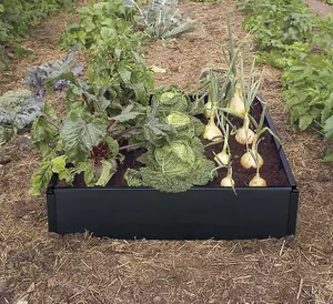 Garland Black Raised Vegetable Grow Bed 97.5cm x 97.5cm x 25cm G94