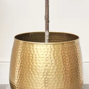 Melody Maison Gold Hammered Metal Planter 20cm x 20cm