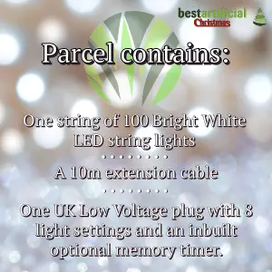 100 Bright White LED's Black Cable Connectable Outdoor Garden Party Christmas Waterproof String Lights (10m) Low Voltage Plug