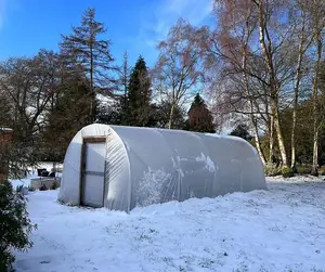 10ft x 18ft Straight Sided Polytunnel Kit, Heavy Duty Professional Greenhouse