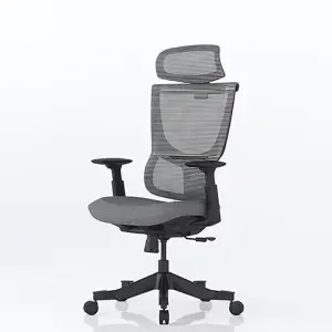 FlexiSpot 9-Stage Adjustable Back S-shaped Ergonomic Office Chair in Grey