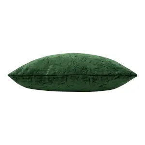 Ashley Wilde Kassaro Velvet Feather Filled Cushion