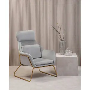 Interiors by Premier Grey Velvet Armchair, Easy Care Velvet Accent Armchair, Indoor Dining with Velvet Bedroom chair