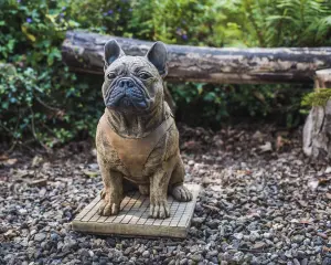 Life-Size French Bulldog Statue