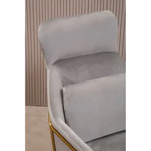 Interiors by Premier Grey Velvet Armchair, Easy Care Velvet Accent Armchair, Indoor Dining with Velvet Bedroom chair