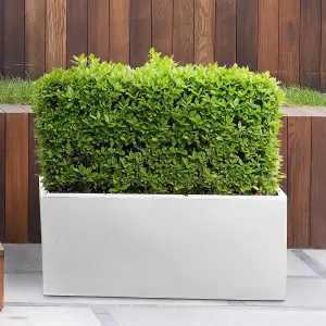 Set of 2 IDEALIST™ 65cm Long Trough Rectangular Garden Planter, White Reinforced Stone Outdoor Large Plant Pots L65 W19 H30 cm