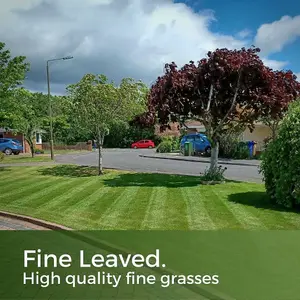 Shade & Sun Grass Seed - Lawn Seed for Shaded Areas 10kg (140-400m²)