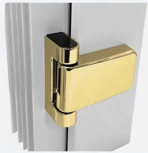 Schlosser Technik Axis Flip Hinge 23mm rebate Gold