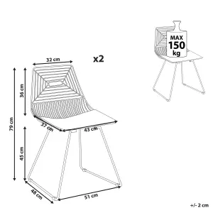 Set of 2 Dining Chairs BEATTY Metal Black
