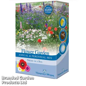 Scatter Seed Box Collection - 4 Packs