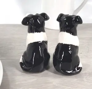 Border Collie novelty Salt and Pepper ceramic shaker set Dog lover gift box