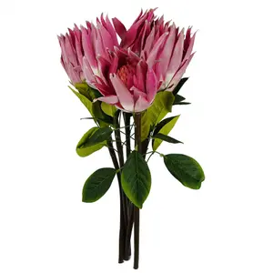 Pack of 6 x 65cm Protea Sugarbush Flower Stem - Pink