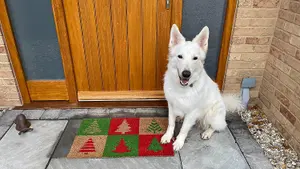 Coco&Coir Door Mat Eco-Friendly Indoor Outdoor Heavy Duty Christmas Theme Xmas Entrance Door Mat 45 x 75 cm CHRISTMAS TREE