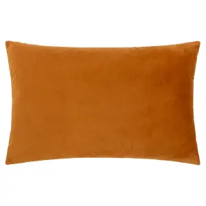 Paoletti Lexington Velvet Jacquard Feather Filled Cushion