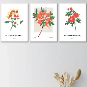 Set of 3 Framed Vintage Graphical Orange Flower Market / 42x59cm (A2) / White