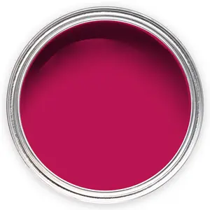 Annie Sloan Wall Paint 2.5 Litre Capri Pink