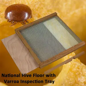 National Bee Hive Varroa Mesh Floor Inspection Tray